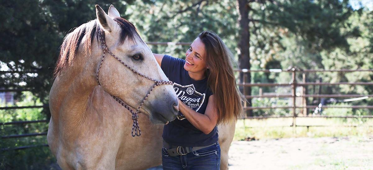 Horse Chiropractic, Animal Chiropractic